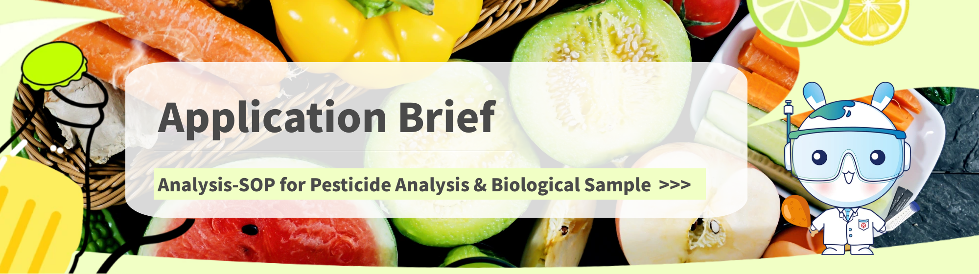Application Brief