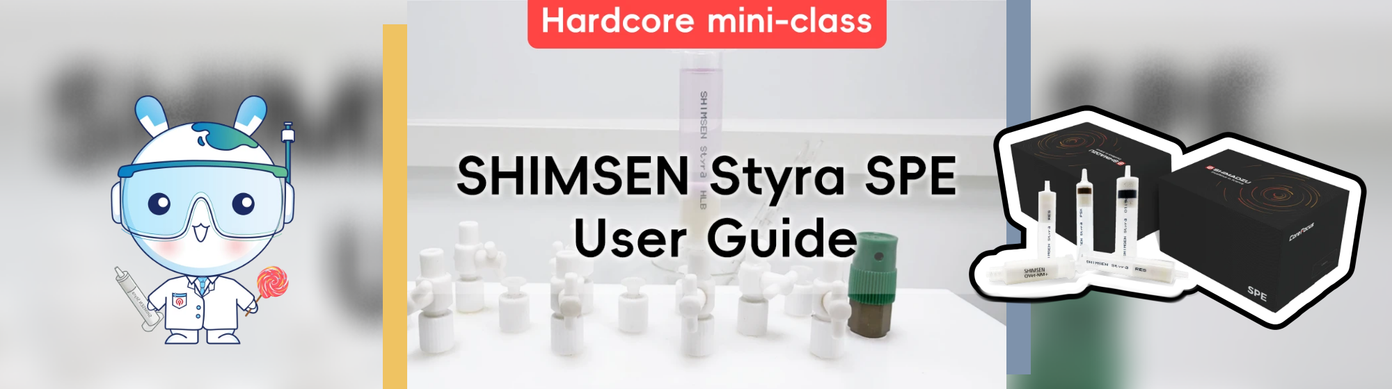 SHIMSEN Styra SPE User Guide